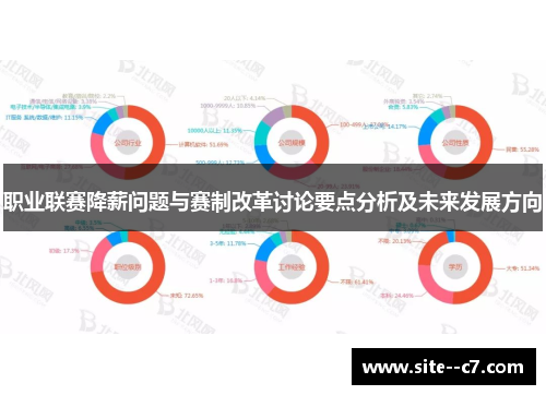 职业联赛降薪问题与赛制改革讨论要点分析及未来发展方向