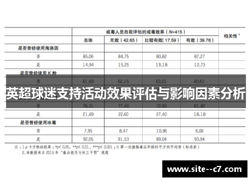 英超球迷支持活动效果评估与影响因素分析