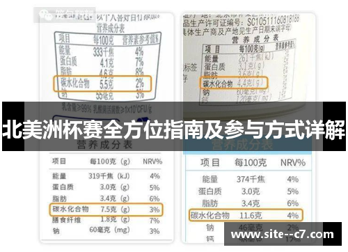 北美洲杯赛全方位指南及参与方式详解