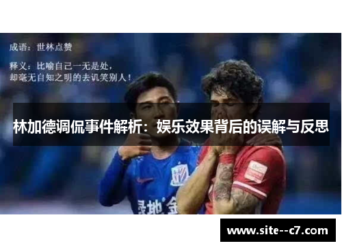 林加德调侃事件解析：娱乐效果背后的误解与反思