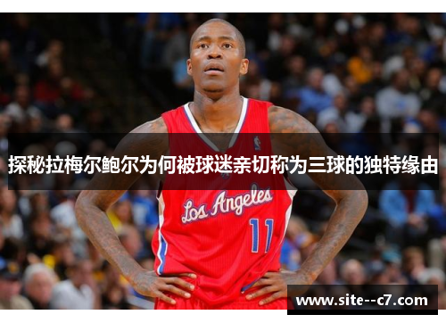 探秘拉梅尔鲍尔为何被球迷亲切称为三球的独特缘由