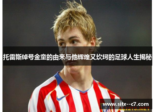 托雷斯绰号金童的由来与他辉煌又坎坷的足球人生揭秘