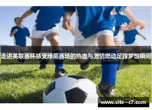 走进英联赛杯感受绿茵赛场的热血与激情燃动足球梦想瞬间
