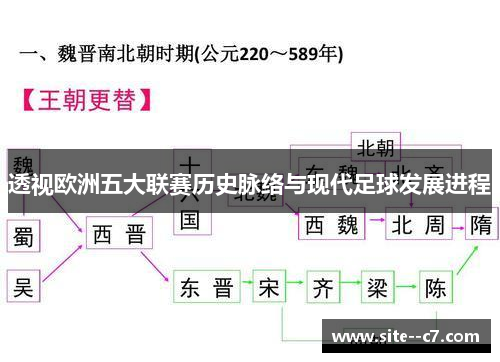 透视欧洲五大联赛历史脉络与现代足球发展进程