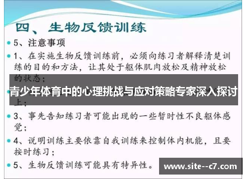 青少年体育中的心理挑战与应对策略专家深入探讨 青少年体育中的心理挑战与应对策略专家深入探讨