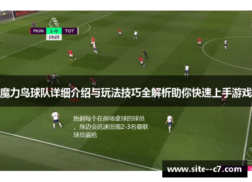 魔力鸟球队详细介绍与玩法技巧全解析助你快速上手游戏