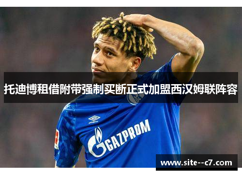 托迪博租借附带强制买断正式加盟西汉姆联阵容