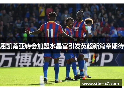 恩凯蒂亚转会加盟水晶宫引发英超新篇章期待