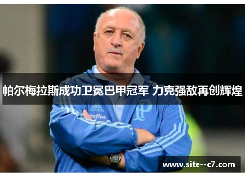 帕尔梅拉斯成功卫冕巴甲冠军 力克强敌再创辉煌 帕尔梅拉斯成功卫冕巴甲冠军 力克强敌再创辉煌