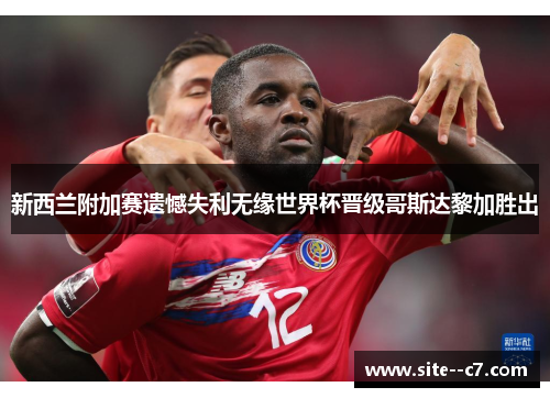新西兰附加赛遗憾失利无缘世界杯晋级哥斯达黎加胜出