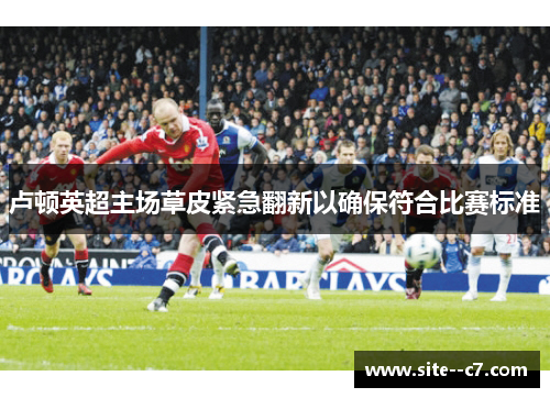 卢顿英超主场草皮紧急翻新以确保符合比赛标准