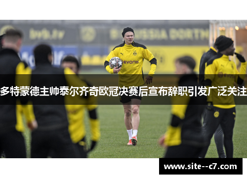 多特蒙德主帅泰尔齐奇欧冠决赛后宣布辞职引发广泛关注