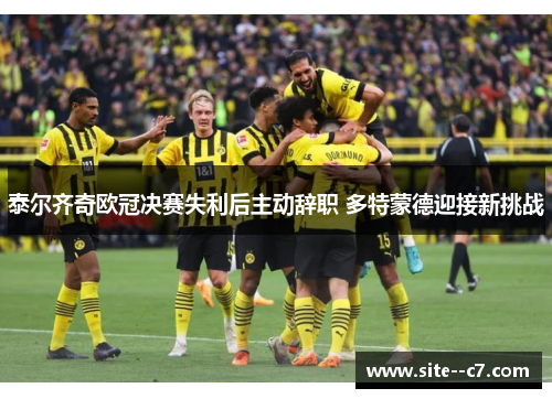 泰尔齐奇欧冠决赛失利后主动辞职 多特蒙德迎接新挑战 泰尔齐奇欧冠决赛失利后主动辞职 多特蒙德迎接新挑战