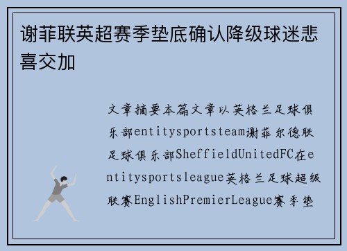 谢菲联英超赛季垫底确认降级球迷悲喜交加